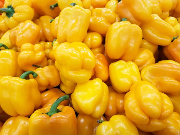 YELLOW BELL PEPPER, PILI SHIMLAMIRCH (250gm)